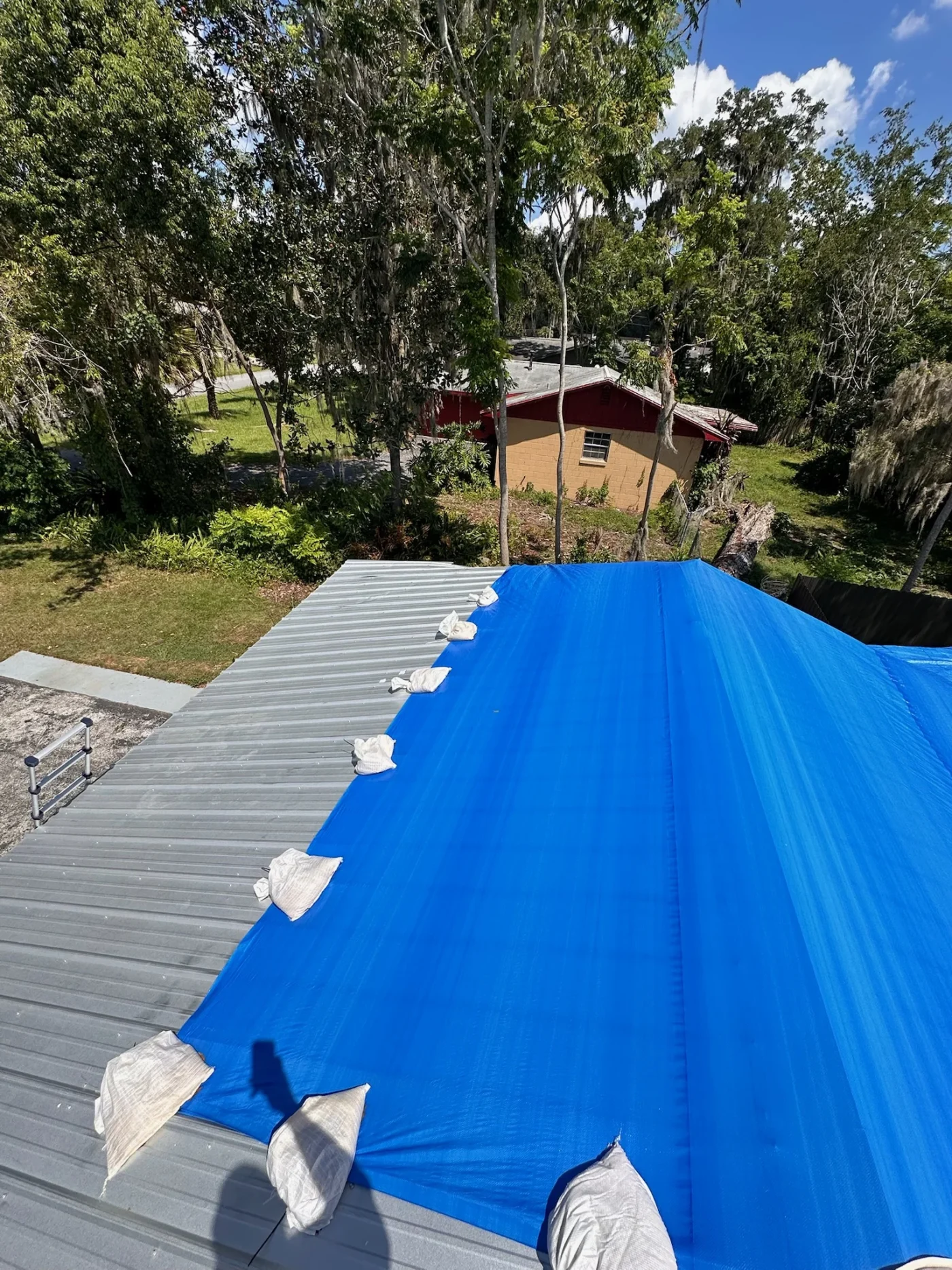 Stellar Residential Roof Repair In Newberry, FL | Sentinel Roofing A light gray metal roof is partially visible in a photo taken from on top of the roof’s surface. The part that cannot be seen is covered with a bright blue tarp that is weighed down by sandbags. There is another house in the distance, along with tall palm trees.